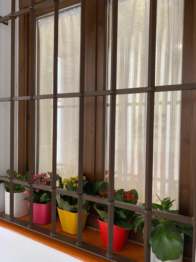 Apartment Don Quijote Toledo