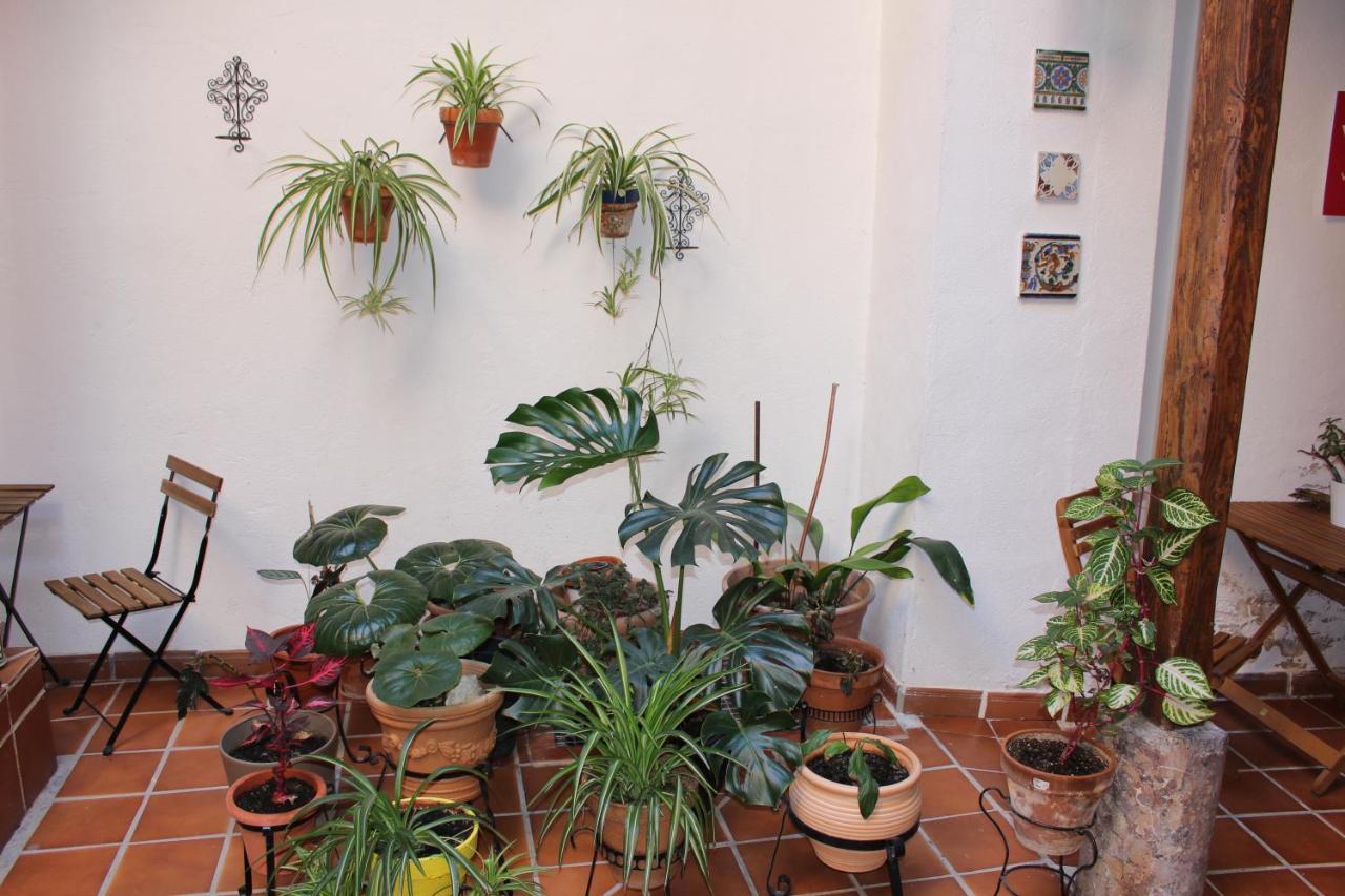 Apartamento La Casa Toledana Estudio - Patio Y Artesonado *