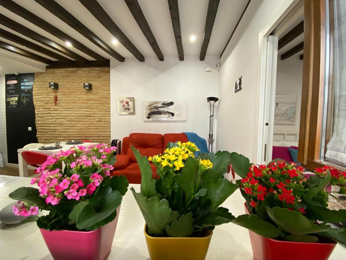 Don Quijote Apartment Toledo