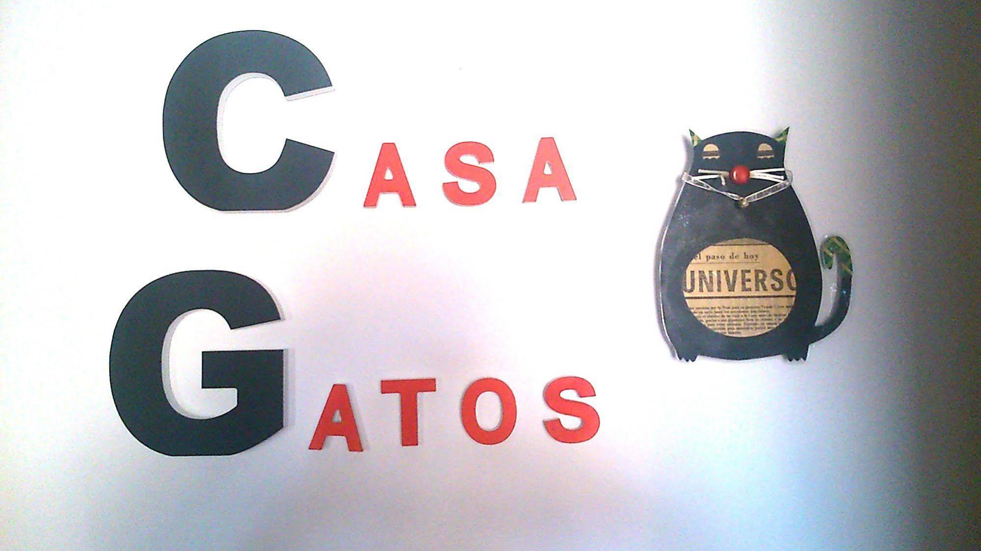 Casa Gatos