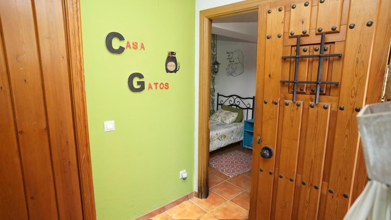 Casa Gatos Apartment