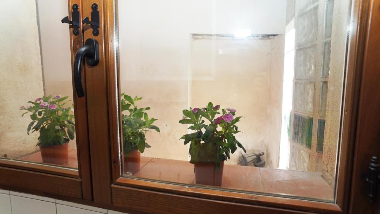 Casa Gatos Apartment *