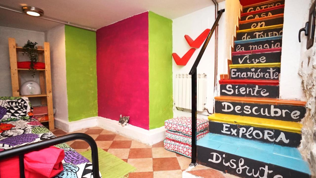 Casa Gatos *