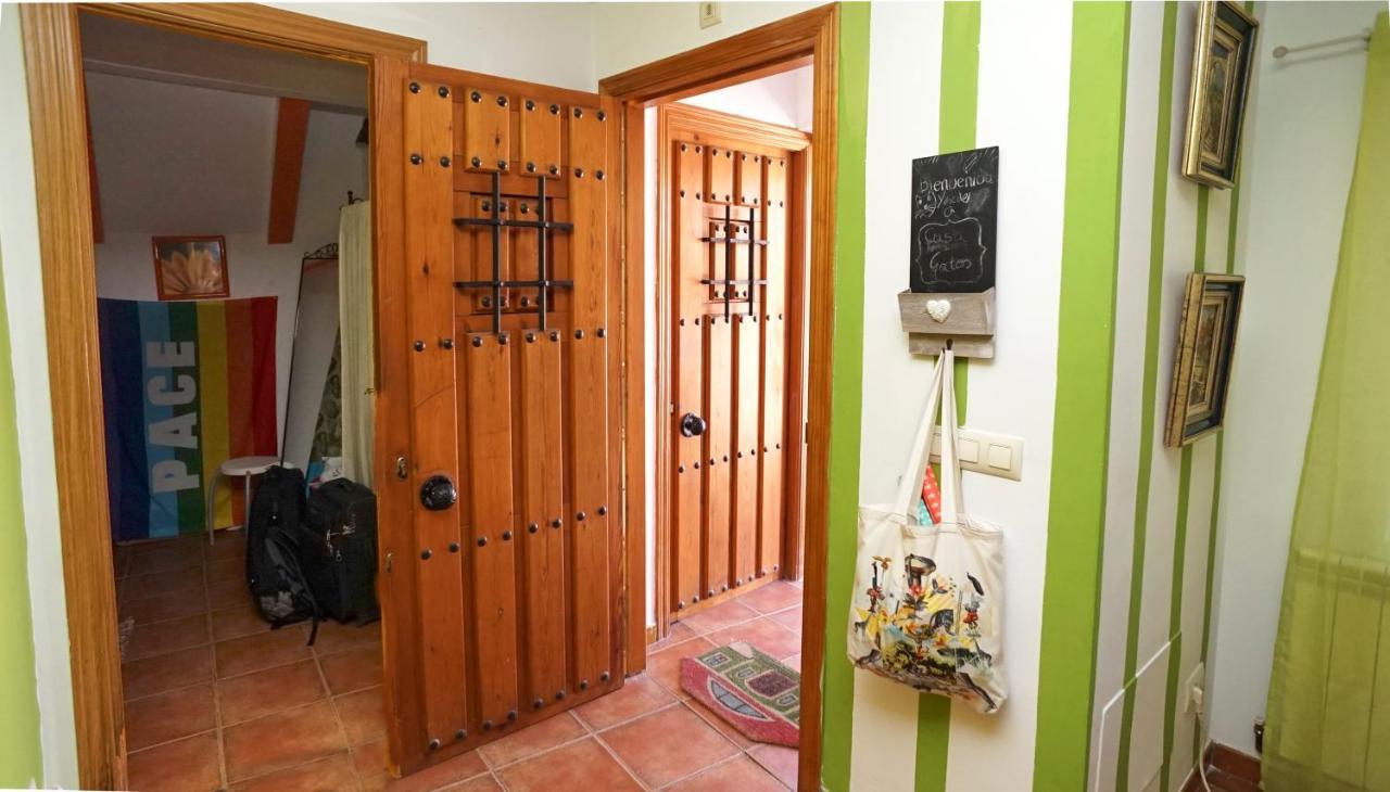 Casa Gatos Apartment *