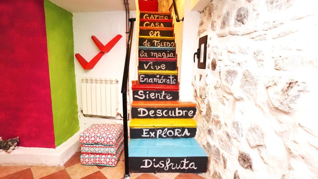 Casa Gatos *