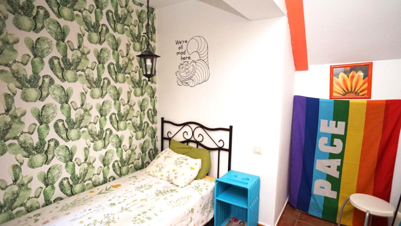 Casa Gatos *