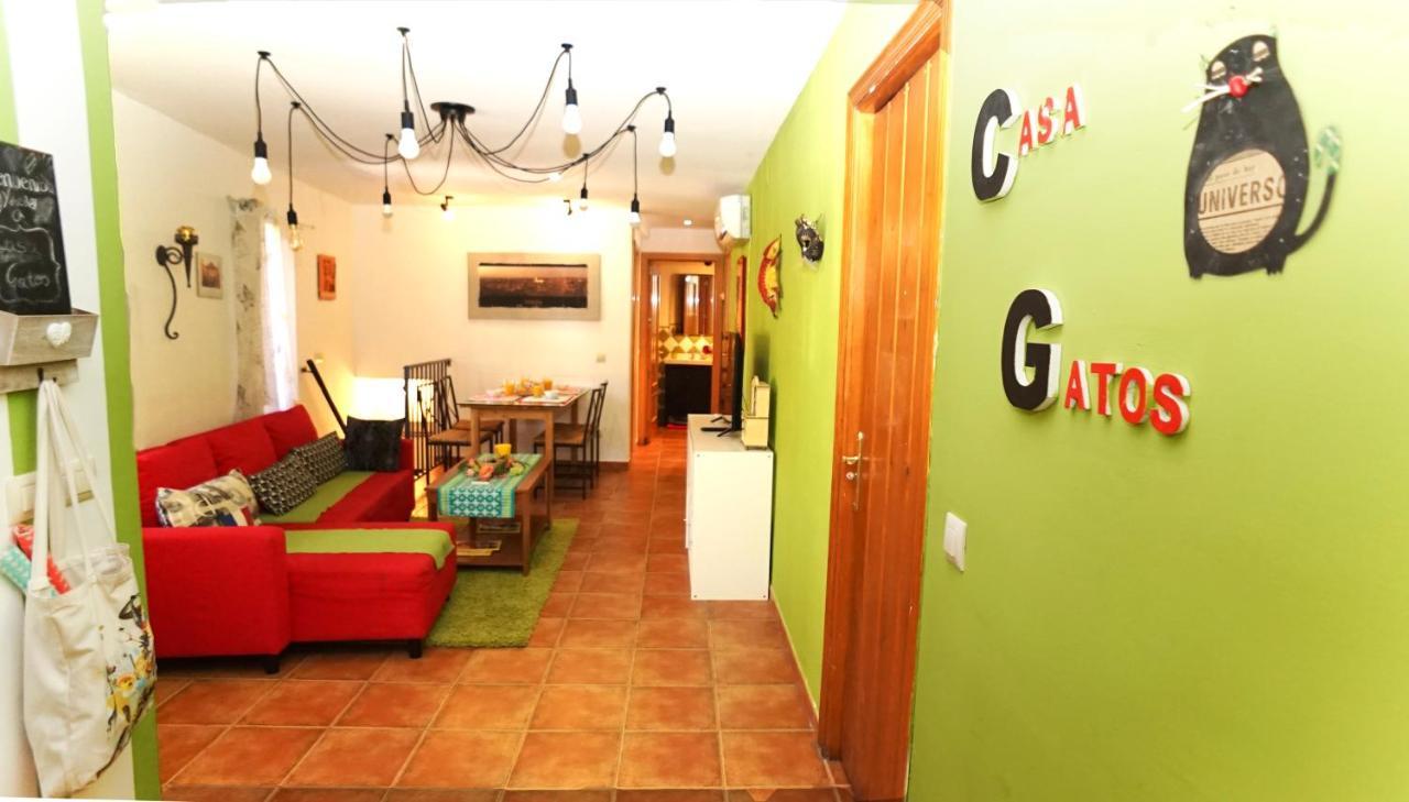 Casa Gatos Apartment *