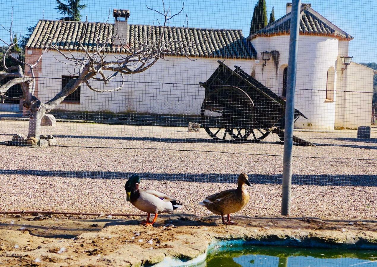 Complejo Valdepusa Сasa de vacaciones